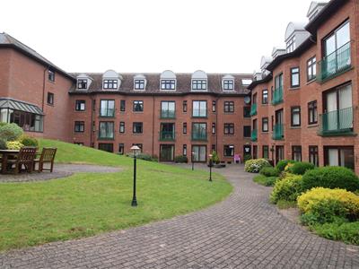 Picture 11